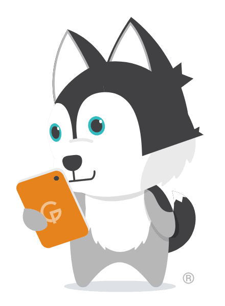 Product finder dog
